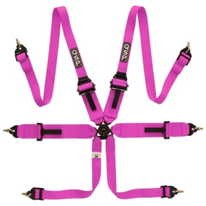 Ceinture QSP à 6 points FHR Touring FIA - Rose