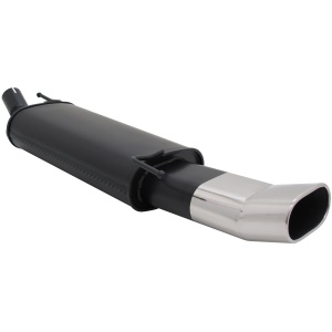 Novus Sportauspuff Fell Bmw 3er E36 325i 135x75mm Dtm