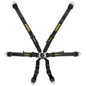 Schroth Flexi 2x2 Banden