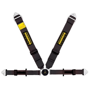 Schroth Profi Ii Asm Flexi Riem