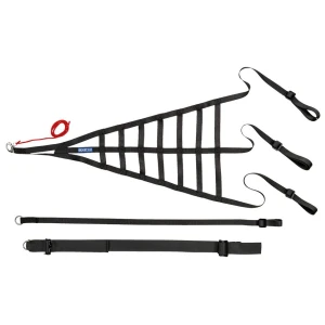 Filet de fenêtre Sparco Racing