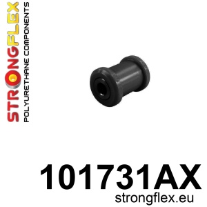 101731A