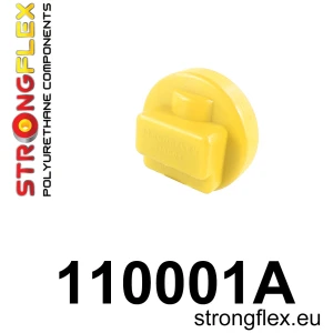 25544
