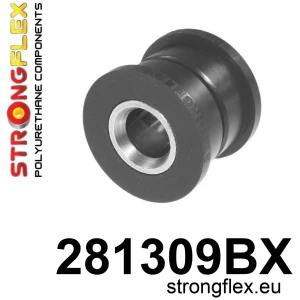 281309B