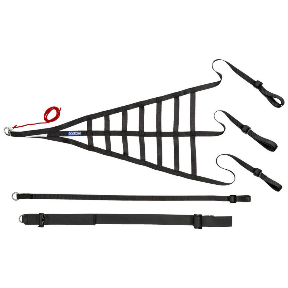 Sparco FIA racing net in zwart voor montage aan de rolkooi